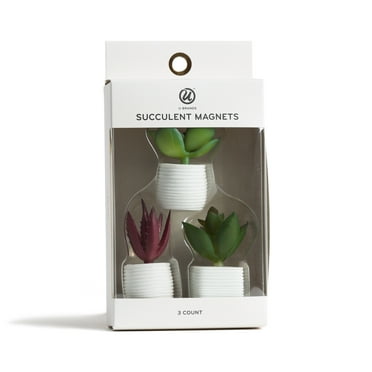 U Brands Terracotta Succulent Magnets, 3 Count, 3377U