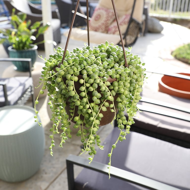 fertilizer for plants in water Water Soluble Plant Fertilizer main image 0