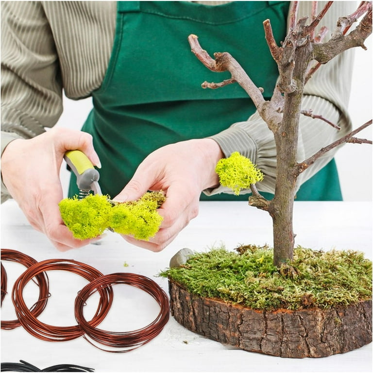 Swetrace Bonsai Tree Tools 10Pcs for Shaping Bonsai Trees 2.0mm