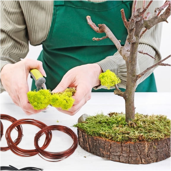 KAKOWELY 10Pcs Metal Craft Products for Bonsai Trees and Crafting 3mm