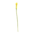 thumbnail image 2 of BotaniNest Elegant Curled Edge For Lifelike Home And Wedding, 2 of 5