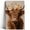 Cream Apricot Highland Cow, variant on Highland Cow with Flower Crown Canvas Wall Art, Rustic Farmhouse Cattle Portrait, Framed Colorful Animal Painting for Nursery, Bedroom & Living Room Decor