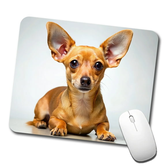 Chiweenie Dog Photo Mouse Pad Low Profile Gaming Mat