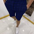 thumbnail image 2 of Mens Shorts Casual Summer Plaid Print Shorts Zipper Fly Semi Elastic Waist Pocket Navy XXL, 2 of 6