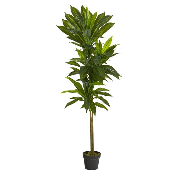 Nearly Natural 56" Dracaena Artificial Plant (Real Touch), Green