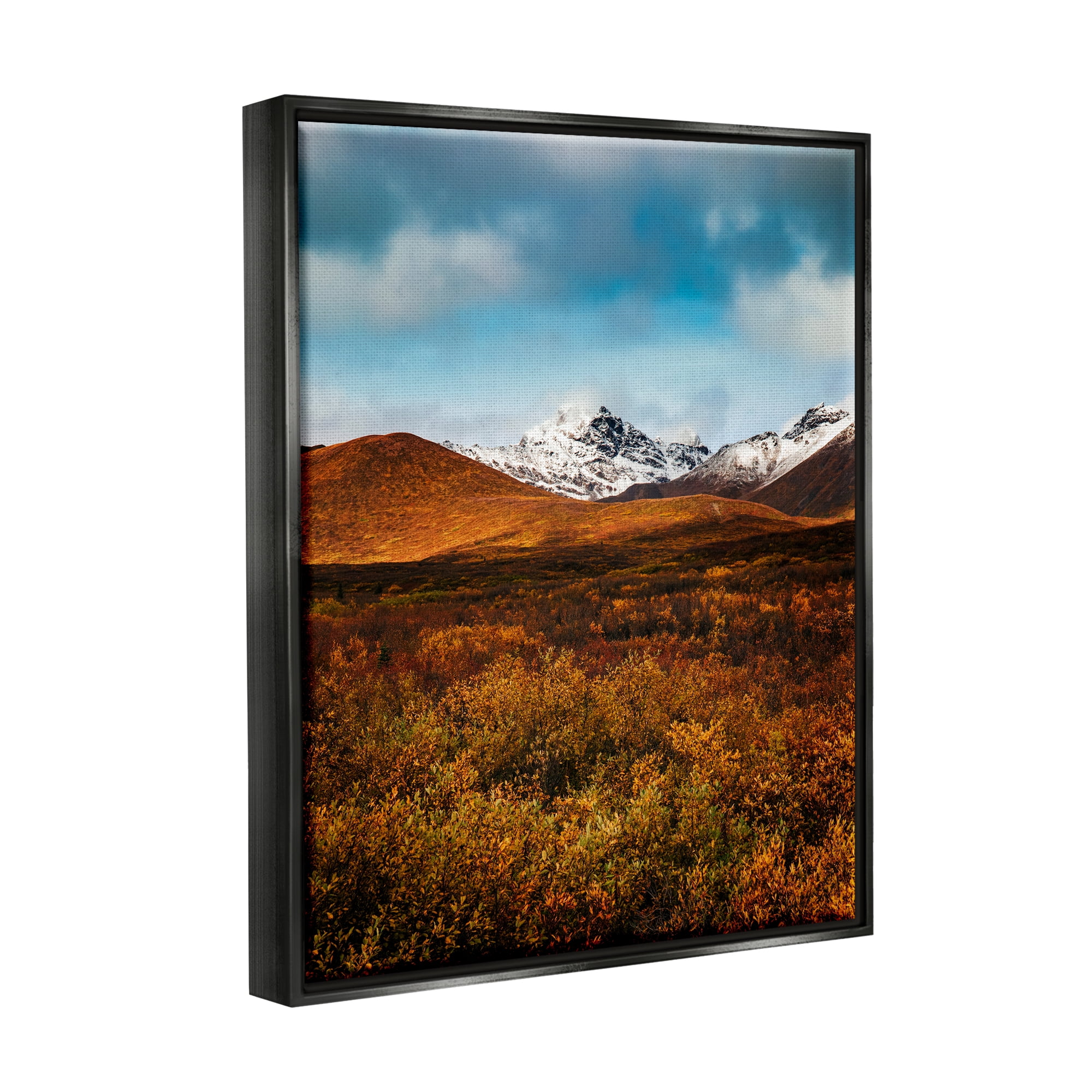 Stupell Industries Icy Mountain Landscape Landscape Photography Black Floater Framed Canvas Art Print Wall Art, 25 x 31