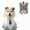 Grey, variant on HQREA Large Dog Wedding Shirt Pet Tuxedo with Bow Tie Formal Suit Costume for Medium Dog