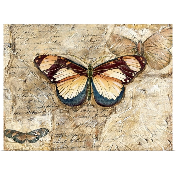 Great BIG Canvas | Rolled Chariklia Zarris Poster Print entitled Poetic Butterfly I