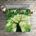 thumbnail image 2 of Ambesonne Landscape Quilted Coverlet 3 Pcs, Summer Rays in Wild, King Size, Green, 2 of 2