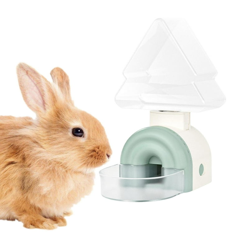 Bunny water on sale bowl