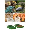 thumbnail image 5 of Reptiles Water Feeder Automatic Dispenser Anti Drowning For Lizards Turtles Bearded Dragons Terrariums Tanks Accessories, 5 of 9