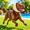 thumbnail image 3 of BingTong Dog Noise Cancelling Ear Wrap, Dog No Shake Ear Muffs Noise Protection Firework Thunder Vacuum, Comfortable Quiet Dogs Calming Hoodie, For Grooming Bathing & Swimming Beige, 3 of 5