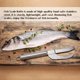 thumbnail image 5 of Cuchillo para escamas de pescado con  redondo de acero inoxidable Cuchillo para vientre de pescado Cuchillo para vientre de pescado con función tres en : abra el vientre ANGGREK Otros, 5 of 8
