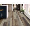 thumbnail image 2 of Shaw 1021V Paragon Mix Plus - Touch Pine, 2 of 5
