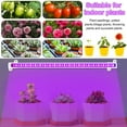 thumbnail image 2 of DONGPAI LED Grow Light Strips for Indoor Plants Full Spectrum, Auto ON & Off Timer Dimmable, Stick to Anywhere, USB Powered 42-288 LEDs Plant Lights for Indoor Growing, Red Blue, 2 of 8