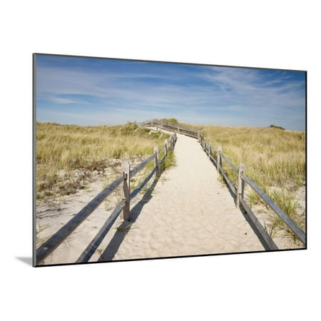 Cape Cod Wall Mount - Dunes on Cape Cod National Sea Shore in Cape Cod, Boston, Usa Wood Mounted Print Wall Art