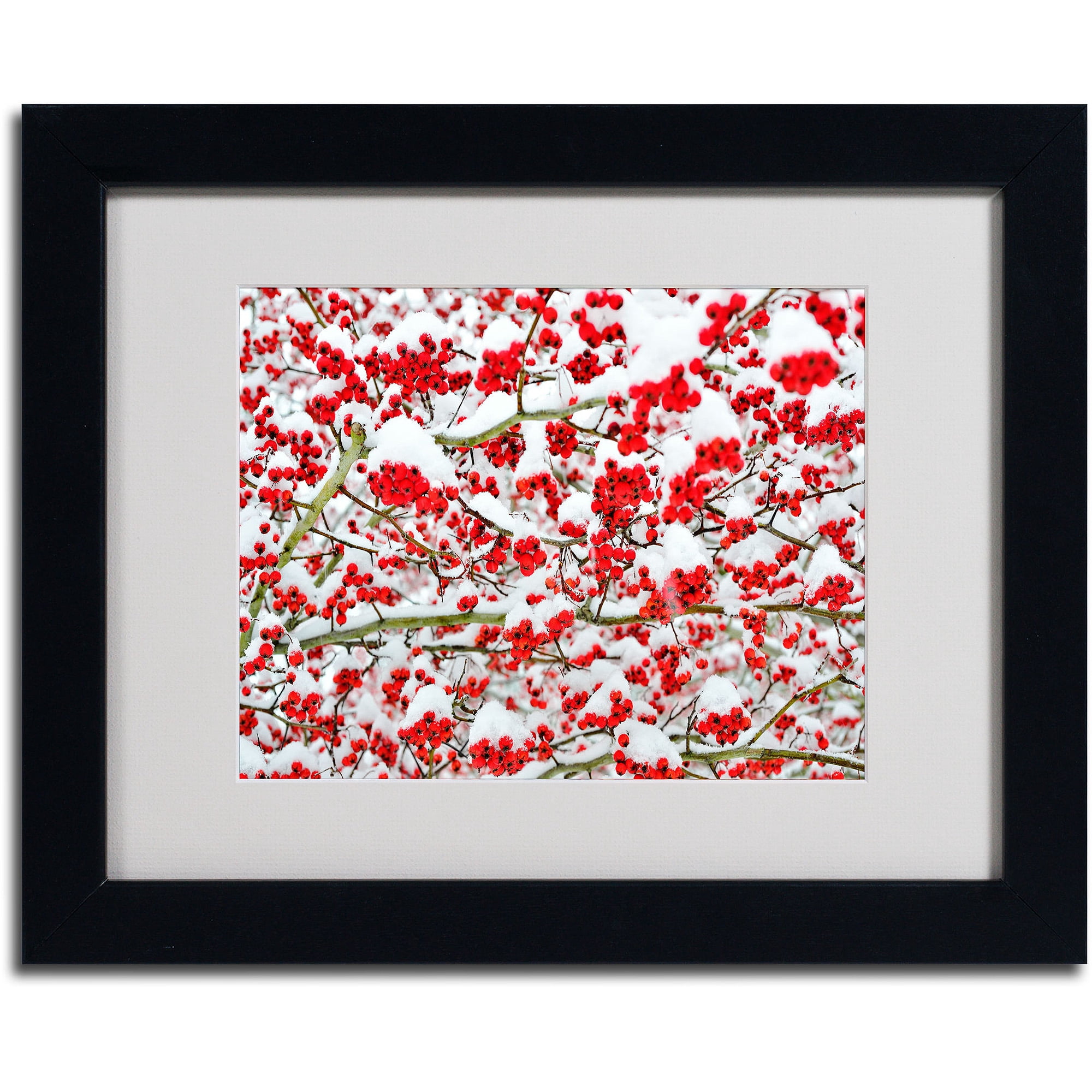 Trademark Fine Art "Winter Berries in the Snow" by Kurt Shaffer, Black Frame