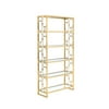 Acme Furniture Milavera Bookshelf, Clear Glass & Gold