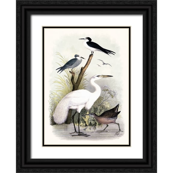 Piddix 11x14 Black Ornate Wood Framed with Double Matting Museum Art Print Titled - Little Egret and Friends