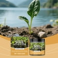 thumbnail image 6 of Soil Activator for Plants, Professional Bone Meal Fertilizer, Dirt Health Booster, Liquid Fertilizer for Indoor & Outdoor Plants for Raised Garden Beds, Potting Mix, and Seedling Compost, 6 of 9