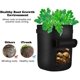 thumbnail image 4 of Paquete de 2 bolsas para cultivo de patatas, bolsa para plantas de un galón con ventana y asas, macetas de tela no tejida para patatas, zanahorias y tomates Adepaton QH-231, 4 of 7