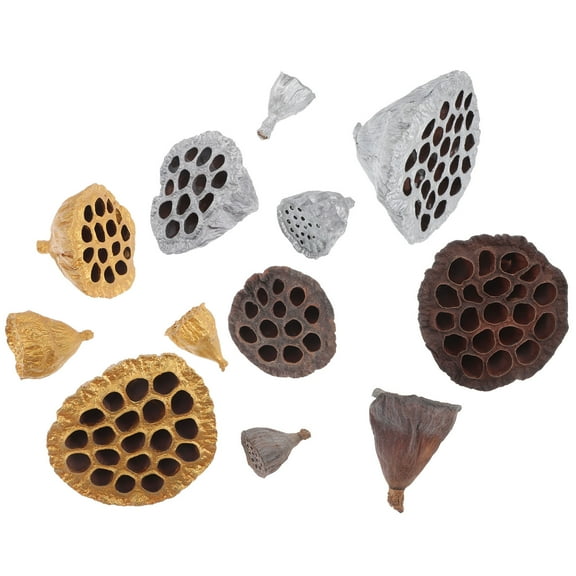 KONTONTY 12Pcs Natural Lotus Seedpod Decorations Assorted Colors for Party and Festival Adornments