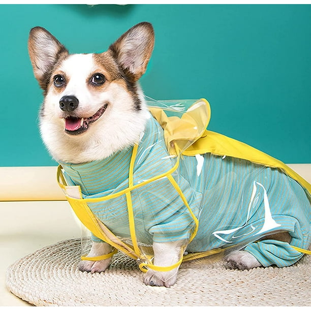 Dog shop rain outfit