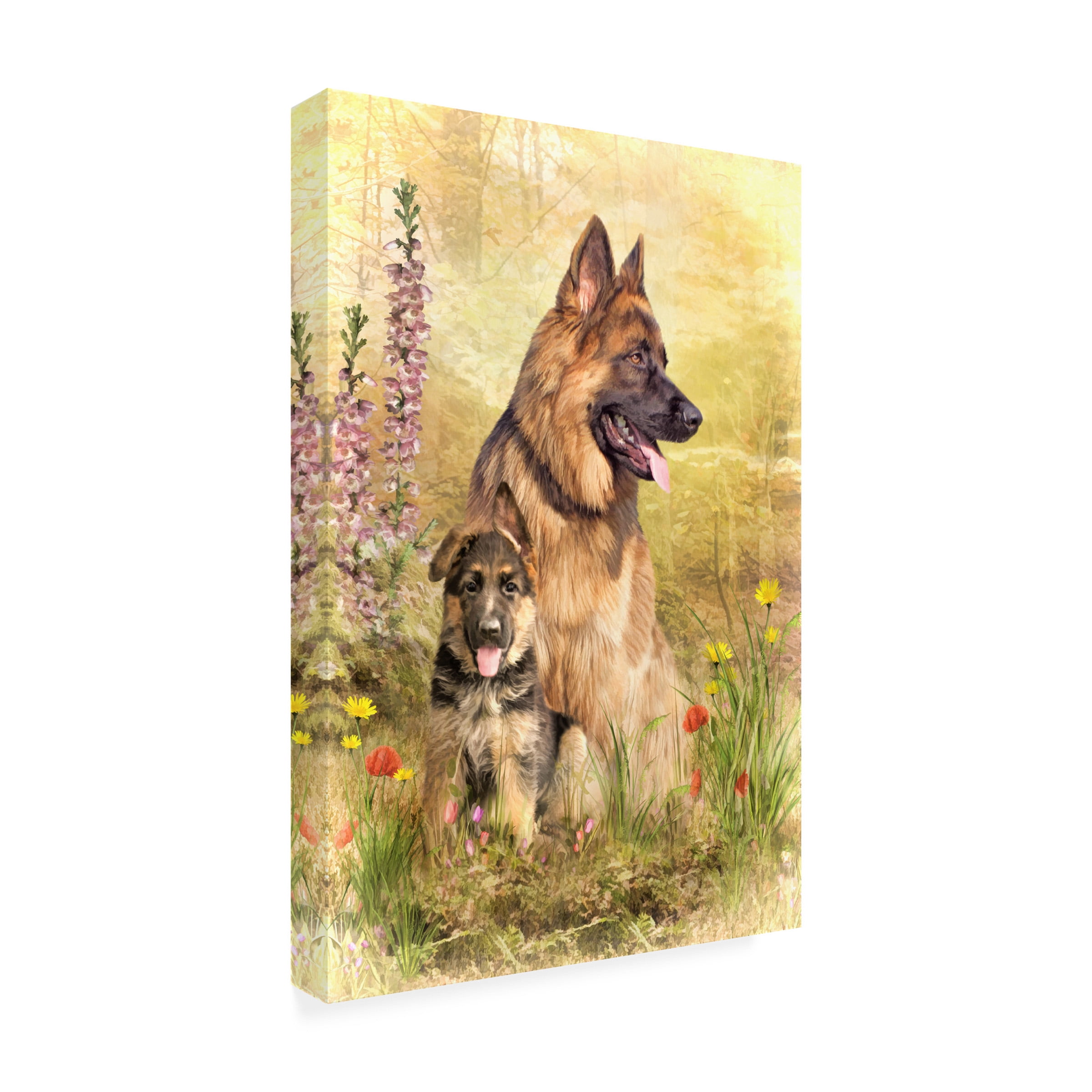 Canvas Wall Art - Trudi Simmonds 'Little Buddy' Wall Art for Living Room, Bedroom, or Office Décor by Trademark Fine Art - 12 x 19 Inches