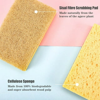 Eco sponges 2 Types Natural Plant Based Scrub Sponge 8 Pack Palm Fiber Scrubbing  Sponge with Non Scratch Compostable Sponges Durable No Odor Kitchen Scrubber  Ec… in 2023