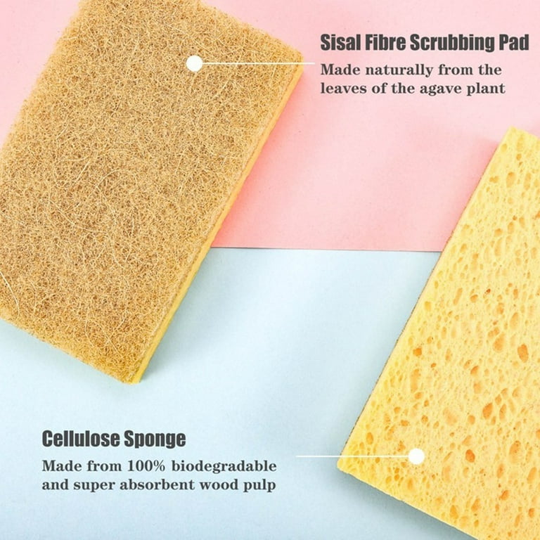 Biodegradable Natural Kitchen Sponge - Compostable Cellulose and Coconut  Walnut Scrubber Sponge - Eco Friendly Sponges for Dishes