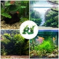 thumbnail image 3 of BRIGHTFUFU Plateau à Sushi Ornement Aquarium Plante Décor Résine Verte 1Pcs, 3 of 6
