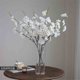 thumbnail image 5 of Jarrón transparente con flores de cerezo artificiales for sala de estar, arreglo decorativo for interiores, 5 of 5