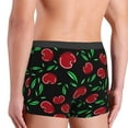thumbnail image 5 of Junzan Cherry Mens Underwear Boxer Briefs For Men’s - Small, 5 of 9