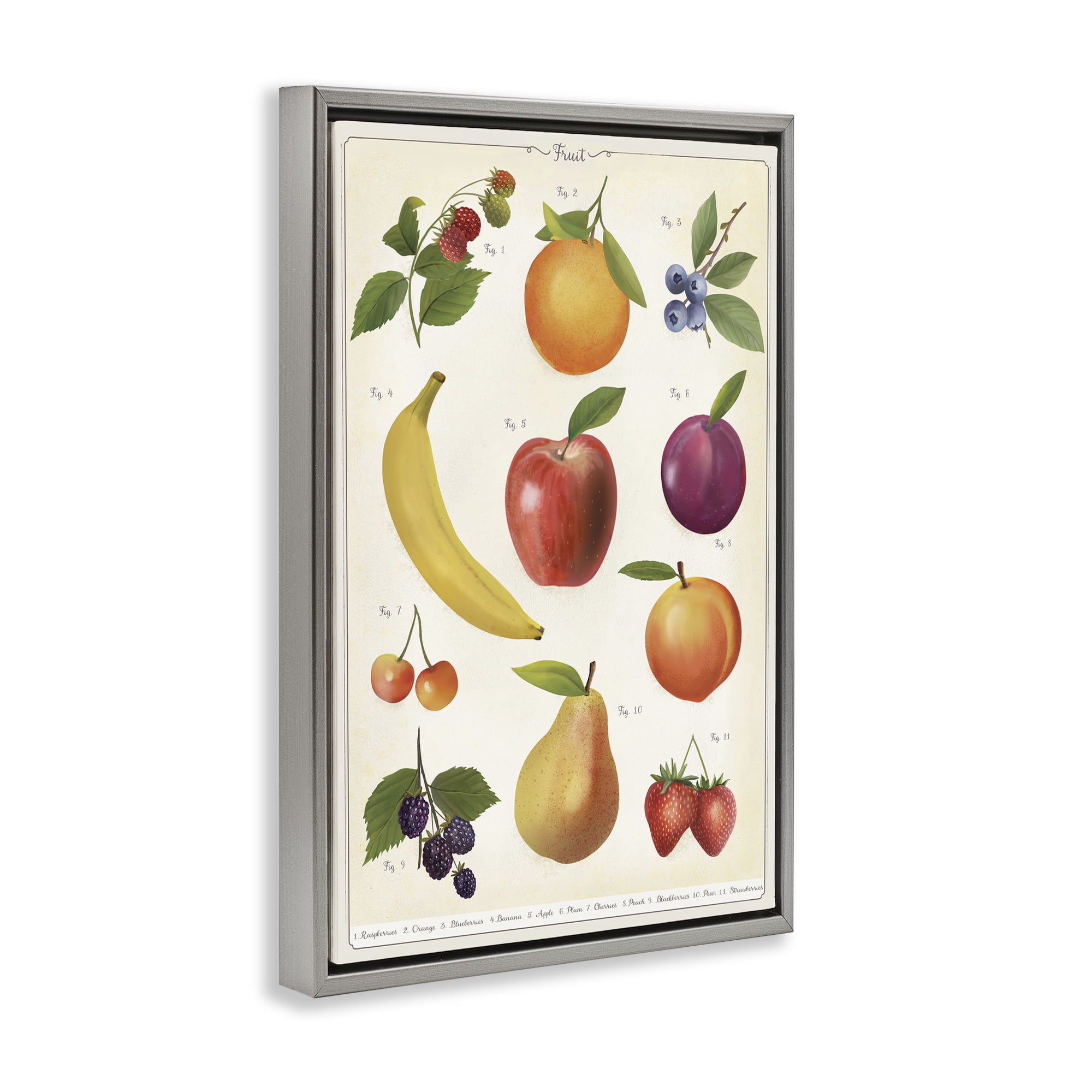 Stupell Industries Fruit Collection Studies Gray Framed Floater Canvas Wall Art, design by Diane Neukirch