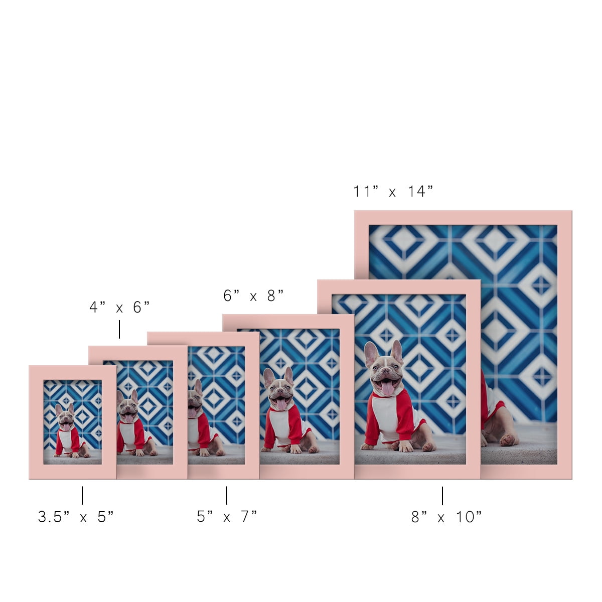 Modern 11 in. x 14 in. Pink Picture Frame (Set of 4)