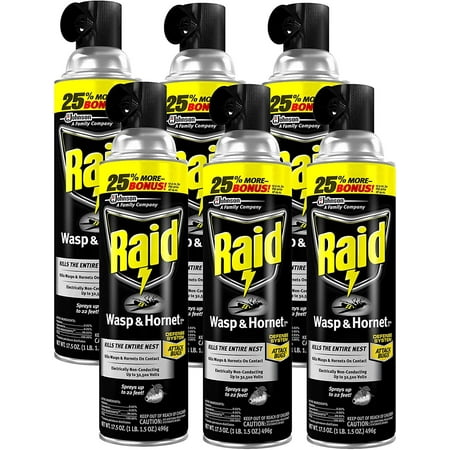 Raid Wasp and Hornet Killer 17.5 Ounce Pack of 6