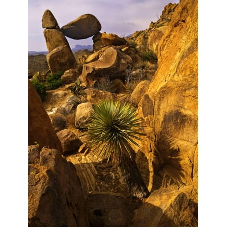 Rock Formations in Grapevine Hills, Big Bend National Park, Texas, USA Print Wall Art By Jerry