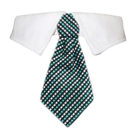 Pooch Outfitters Benjamin Shirt Collar - Green - Medium