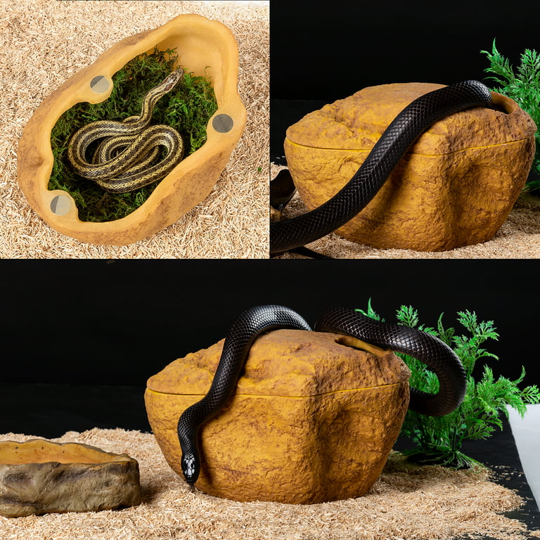 google snake Magnet for Sale by AwsomePro