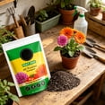 thumbnail image 5 of ZULAR 2026 New Succulent Cactus Soil Potting Mix 110G Natural Organic Potting Mix for Palm Citrus Grown in Containers for Home Gardening,Indoor Plants,Potted Plants,Succulent Care., 5 of 7