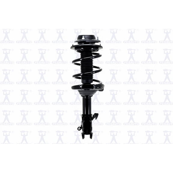 Suspension Strut and Coil Spring Assembly
