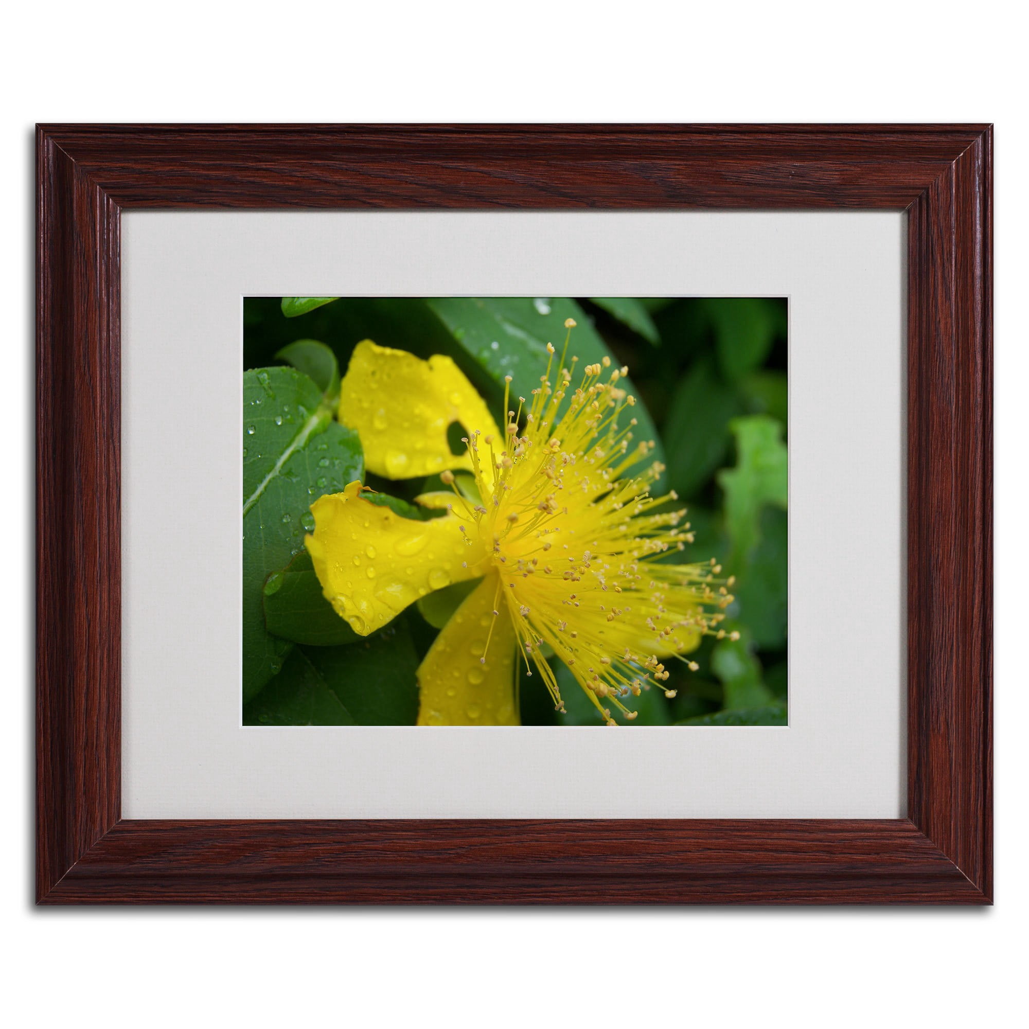 Trademark Fine Art "Mana" Canvas Art by Monica Fleet, White Matte, Wood Frame