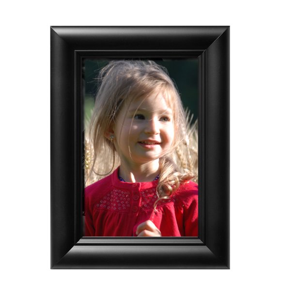 4x6 Picture Frame Bulk