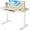 Maple Wood-top, variant on CHITOOMA Glass Top Electric Standing Desk with Drawer, 55'' x 28'' Electric Height Adjustable Desk with USB Charging Ports, Sit Stand up for Home Office
