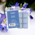 thumbnail image 4 of Snowy Woods Scented Wax Melts, Better Homes & Gardens, 2.5 oz (1-Pack), 4 of 4