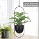 thumbnail image 4 of 2 Pack Hanging Planters for Indoor & Outdoor Plant with 6 inch Pot Hanging Plant Holder, Plant Hang, 4 of 5