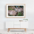 thumbnail image 6 of Shenandoah Deer - Virginia Photography Nature Forest Autumn Wildlife Scenic Rural Unframed Wall Art Print 4 x 6 inches, 6 of 7