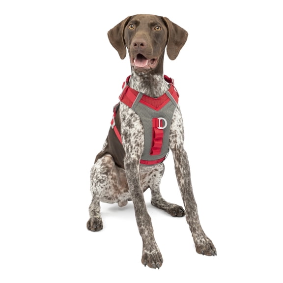 Kurgo Journey Air Dog Harness, for Running & Walking, Reflective, No Pull Front Clip, Red, Med