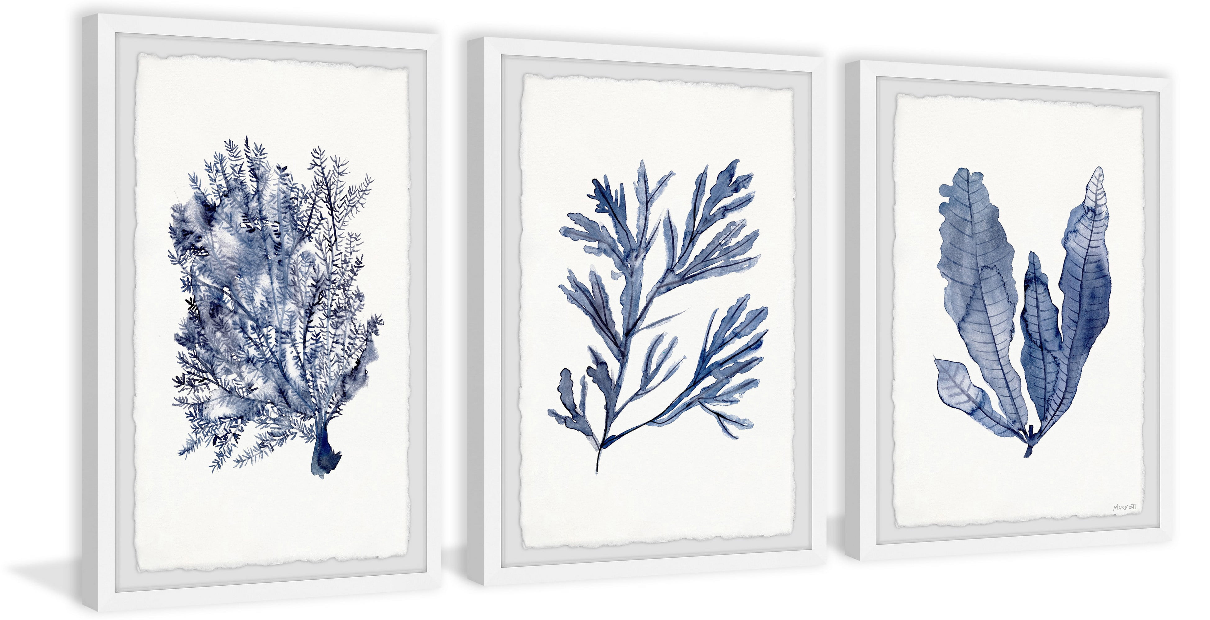Marmont Hill Seaweed Under Water V Triptych