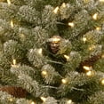 thumbnail image 4 of National Tree Company 3 ft. Snowy Concolor Fir Tree with LED Lights, 4 of 5